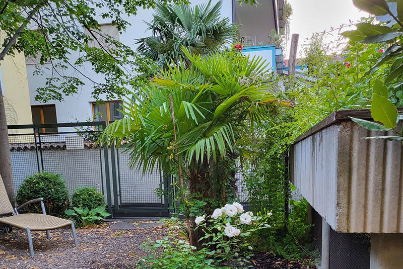 Testimonial Implantat 